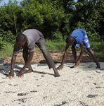 One CGIAR A practical perspective on