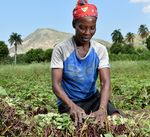 One CGIAR A practical perspective on