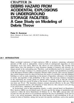 DEBRIS HAZARD FROM ACCIDENTAL EXPLOSIONS IN UNDERGROUND STORAGE FACILITIES