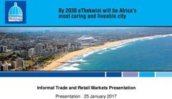 Informal Trade and Retail Markets Presentation - Presentation 25 January 2017