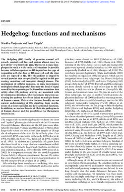 Hedgehog: functions and mechanisms