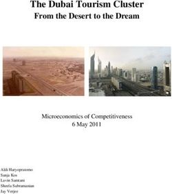 The Dubai Tourism Cluster - From the Desert to the Dream - Microeconomics of Competitiveness