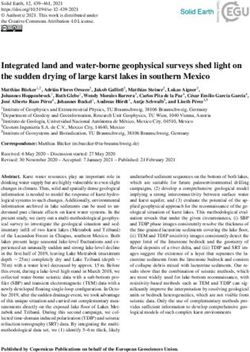 Integrated land and water-borne geophysical surveys shed light on the sudden drying of large karst lakes in southern Mexico