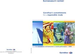 SUSTAINABILITY REPORT - Carrefour's commitments for a responsible trade