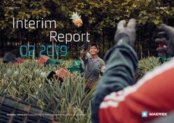 Interim Q2 2019 - Investor Relations