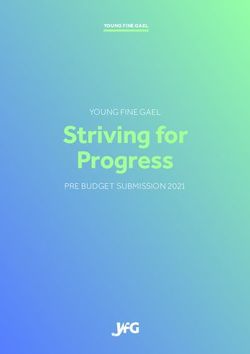 Striving for Progress - YOUNG FINE GAEL PRE BUDGET SUBMISSION 2021 - YOUNG FINE GAEL
