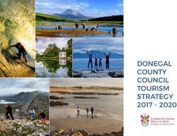 Donegal County CounCil tourism strategy 2017 2020 - DONEGAL TOURISM STRATEGY 2017 2020