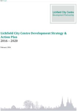 2016 2020 February 2016 - Lichfield City Centre Development Strategy & - Lichfield District ...