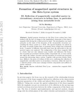 Formation of magnetized spatial structures in the Beta Lyrae system