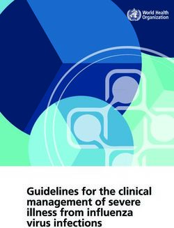 Guidelines for the clinical management of severe illness from influenza virus infections - WHO | World ...