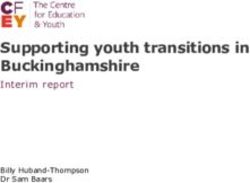 Supporting youth transitions in Buckinghamshire - Interim report