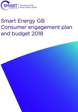 Smart Energy GB Consumer engagement plan and budget 2018