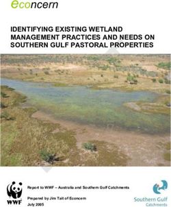 Econcern IDENTIFYING EXISTING WETLAND MANAGEMENT PRACTICES AND NEEDS ON SOUTHERN GULF PASTORAL PROPERTIES - Southern Gulf NRM