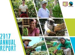 ANNUAL 2017 - CLAC Comercio Justo