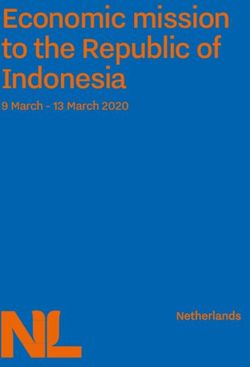 Economic mission to the Republic of Indonesia - 9 March - 13 March 2020 - Netherlands ...