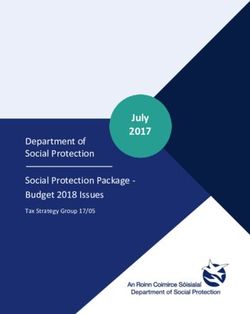 July 2017 Department of Social Protection Social Protection Package - Budget 2018 Issues - Finance.gov.ie