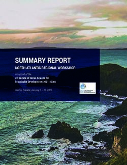 SUMMARY REPORT NORTH ATLANTIC REGIONAL WORKSHOP in support of the UN Decade of Ocean Science for Sustainable Development (2021-2030) - Ocean Decade