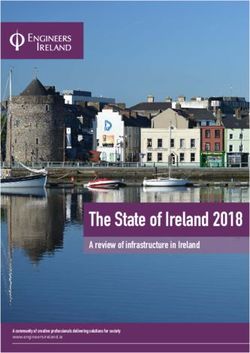 The State of Ireland 2018 - A review of infrastructure in Ireland A community of creative professionals delivering solutions for society ...