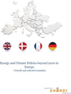 Energy and Climate Policies beyond 2020 in Europe - Overall and selected countries