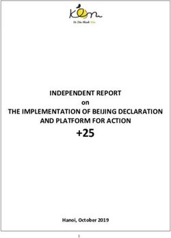 +25 INDEPENDENT REPORT THE IMPLEMENTATION OF BEIJING DECLARATION AND PLATFORM FOR ACTION - on