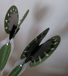 Electronic Popables: Exploring Paper-Based Computing through an Interactive Pop-Up Book