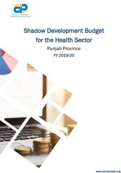Shadow Development Budget for the Health Sector - Punjab Province FY 2019-20 - CPDI ...