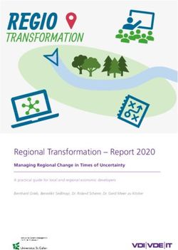 REGIO TRANSFORMATION - Regional Transformation - Report 2020 - VDI/VDE Innovation + Technik GmbH