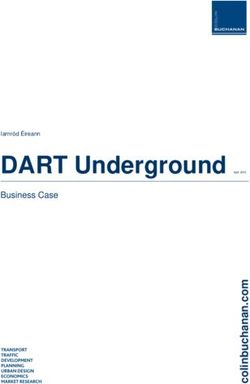 DART Underground Business Case - National Transport Authority