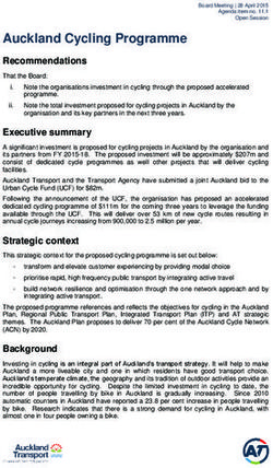 Auckland Cycling Programme - Recommendations