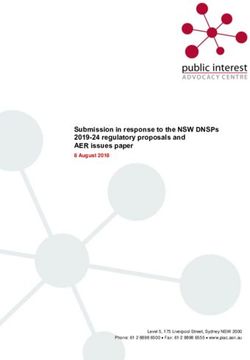 Submission in response to the NSW DNSPs 2019-24 regulatory proposals and AER issues paper