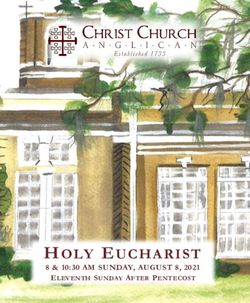 HOLY EUCHARIST 8 & 10:30 AM SUNDAY, AUGUST 8, 2021 - ELEVENTH SUNDAY AFTER PENTECOST - Christ Church Anglican ...