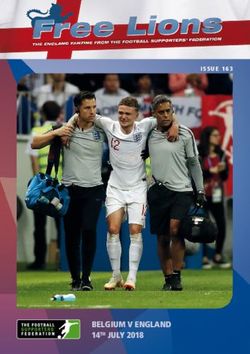 BELGIUM V ENGLAND 14TH JULY 2018 - Football Supporters' Federation