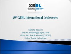 Makoto Koizumi Chair, Best Practice Board (CY2010) Fujitsu Research Institute - XBRL International