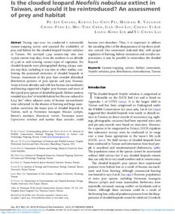 Is the clouded leopard Neofelis nebulosa extinct in Taiwan, and could it be reintroduced? An assessment of prey and habitat