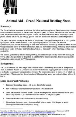Animal Aid - Grand National Briefing Sheet