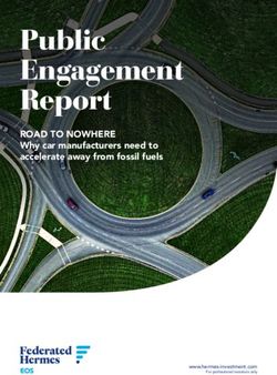 Public Engagement Report - ROAD TO NOWHERE Why car manufacturers need to accelerate away from fossil fuels - Ireland Strategic Investment ...