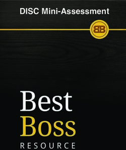 DISC Mini-Assessment - Lavi Institute