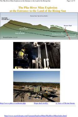 The Pike River Mine Explosion at the Entrance to the Land of the Rising Sun Figure