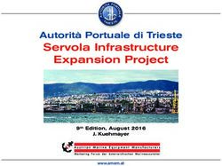 Servola Infrastructure - Autorità Portuale di Trieste Expansion Project - AMEM Austrian ...