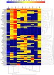Molecular Insight Into Key Eco-Physiological Process in Bioremediating and Plant-Growth-Promoting Bacteria