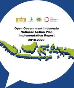 Open Government Indonesia National Action Plan Implementation Report 2018-2020