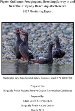 Pigeon Guillemot Foraging and Breeding Survey in and Near the Nisqually Reach Aquatic Reserve