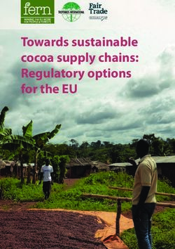 Towards sustainable cocoa supply chains: Regulatory options for the EU - Fern
