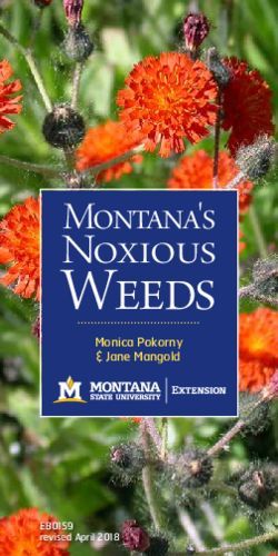 Weeds Noxious Montana's - Monica Pokorny & Jane Mangold - Montana State University Extension