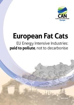 European Fat Cats EU Energy Intensive Industries: paid to pollute, not to decarbonise - Climate Action Network Europe