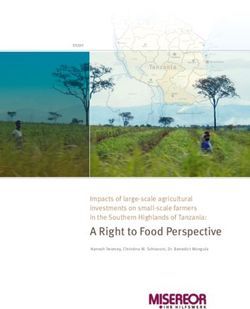 A Right to Food Perspective - Impacts of large-scale agricultural investments on small-scale farmers in the Southern Highlands of Tanzania: Misereor