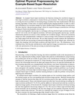 Optimal Physical Preprocessing for Example-Based Super-Resolution