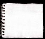 H T - Boris Herrmann Racing