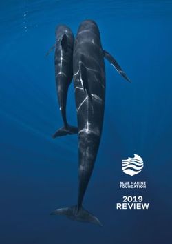 REVIEW 2019 - Blue Marine Foundation