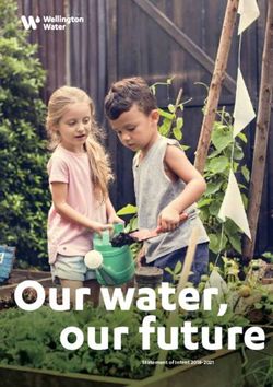 Our water, our future - Statement of Intent 2018-2021 - Wellington Water